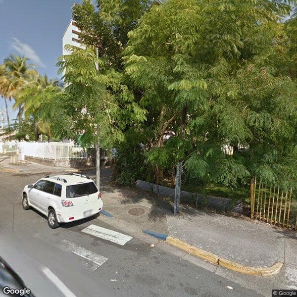 Los Lirios